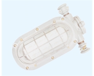 天津矿用隔爆型LED支架灯